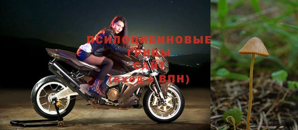 мескалин Каменногорск